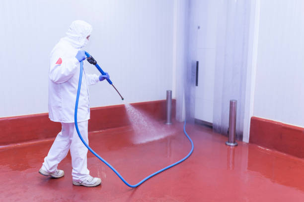Best Dumpster Area Cleaning  in New Hyde Park, NY